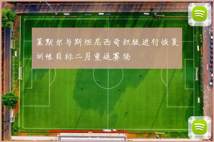 莱默尔与斯坦尼西奇积极进行恢复训练目标二月重返赛场